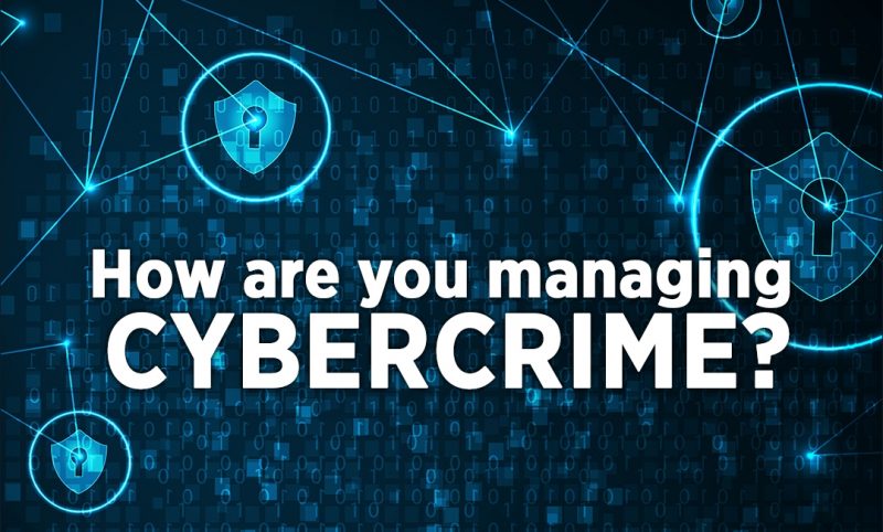 How are you managing cybercrime? • Survey results PART 2 - Blue ...